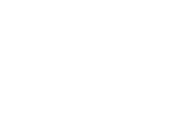 Damian Beer&Ale Logo